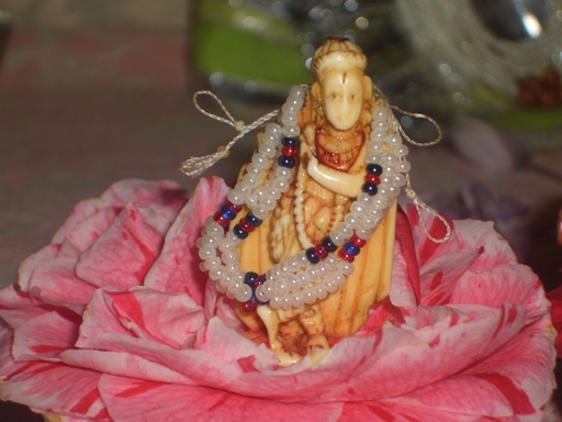 Krushna in a camellia